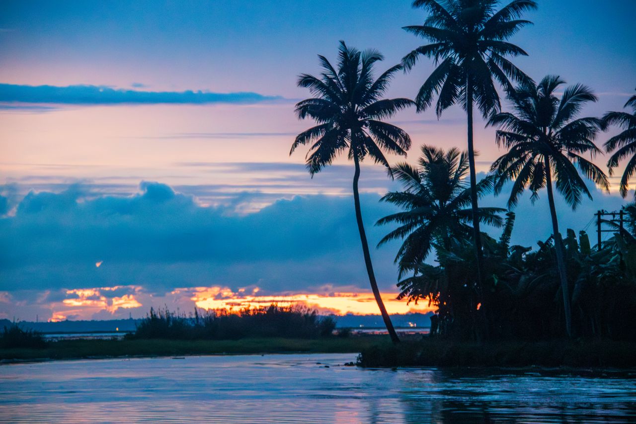 Vibrant sunset over Alappuzha's lakeshore with silhouetted palm trees and vivid sky.